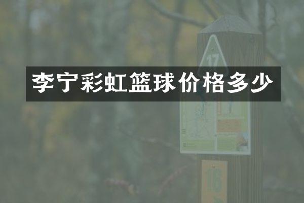 李宁彩虹篮球价格多少