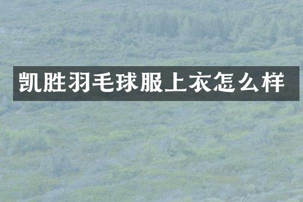 凯胜羽毛球服上衣怎么样