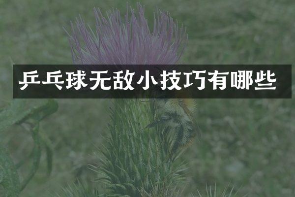 乒乓球无敌小技巧有哪些