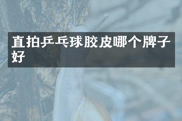 直拍乒乓球胶皮哪个牌子好