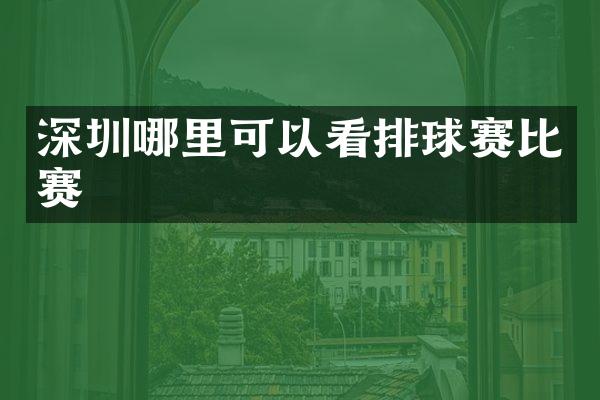 深圳哪里可以看排球赛比赛