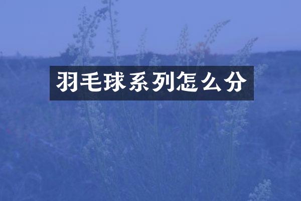 羽毛球系列怎么分