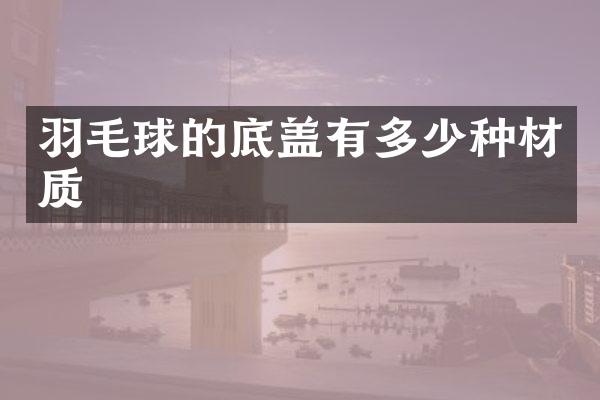 羽毛球的底盖有多少种材质