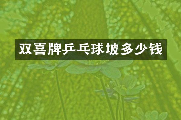 双喜牌乒乓球坡多少钱