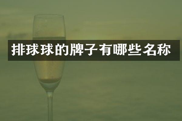 排球球的牌子有哪些名称