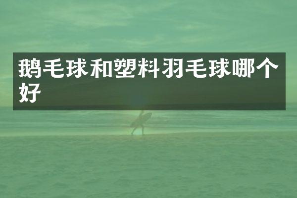 鹅毛球和塑料羽毛球哪个好