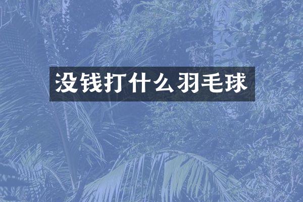没钱打什么羽毛球