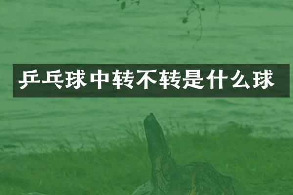 乒乓球中转不转是什么球
