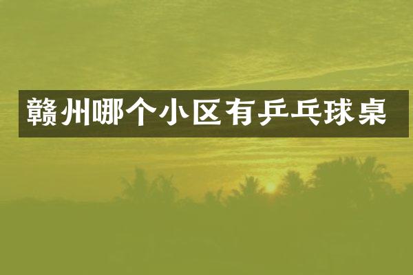 赣州哪个小区有乒乓球桌