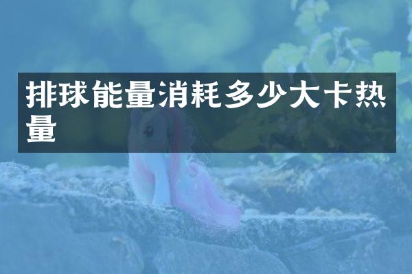 排球能量消耗多少大卡热量