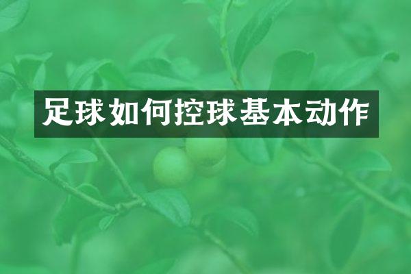 足球如何控球基本动作