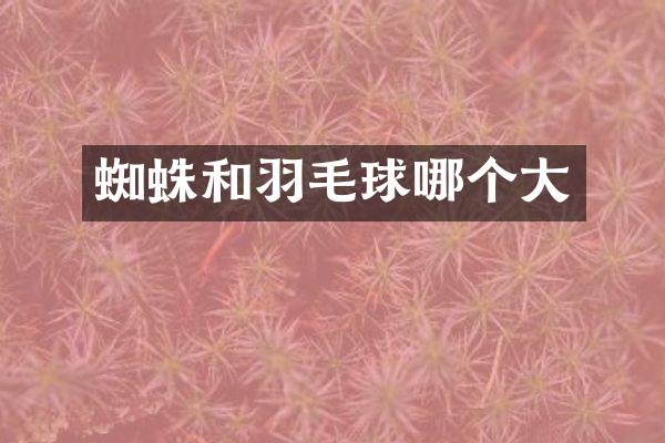 蜘蛛和羽毛球哪个大