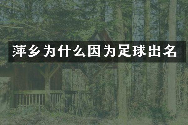 萍乡为什么因为足球出名