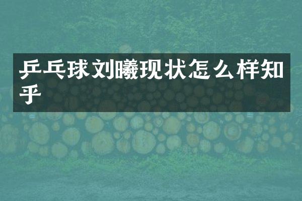 乒乓球刘曦现状怎么样知乎