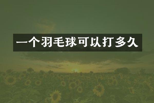 一个羽毛球可以打多久