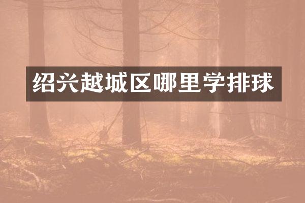 绍兴越城区哪里学排球