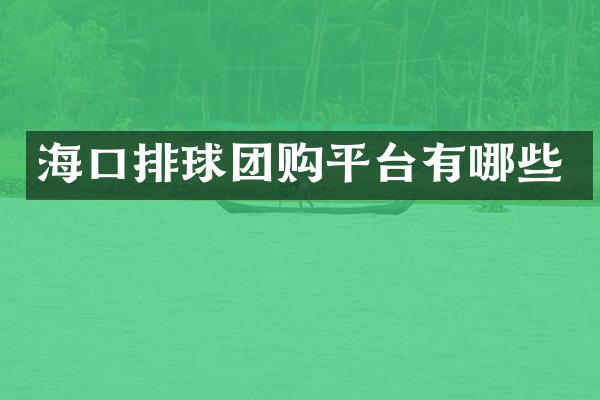 海口排球团购平台有哪些