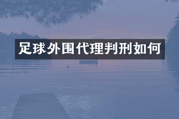 足球外围代理判刑如何