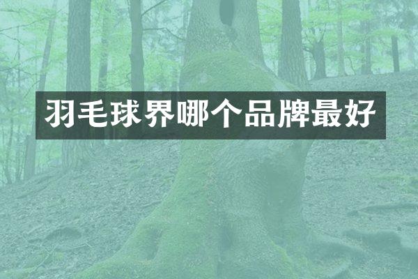 羽毛球界哪个品牌最好