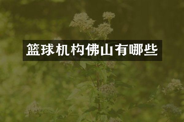 篮球机构佛山有哪些