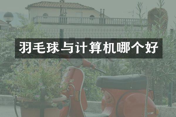 羽毛球与计算机哪个好