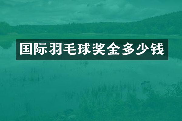 国际羽毛球奖金多少钱