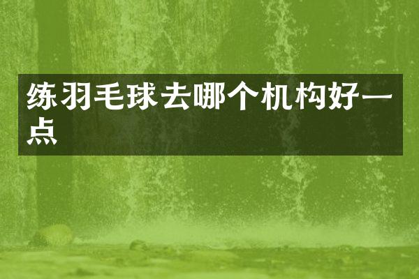 练羽毛球去哪个机构好一点