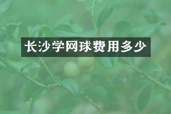 长沙学网球费用多少