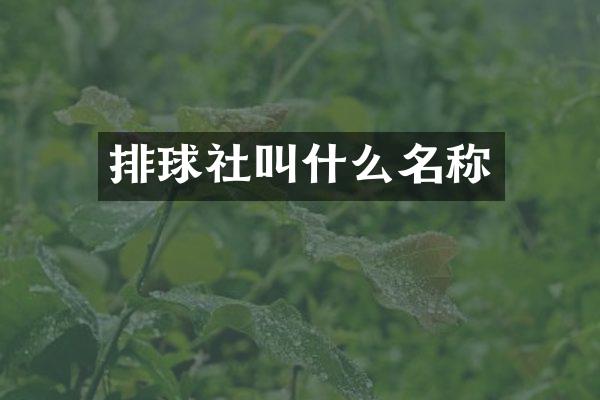 排球社叫什么名称