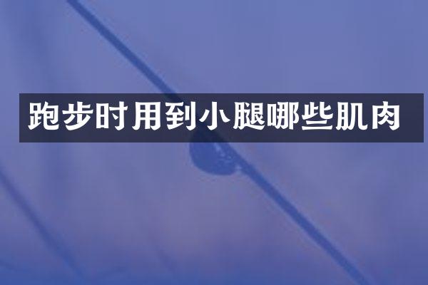 跑步时用到小腿哪些肌肉