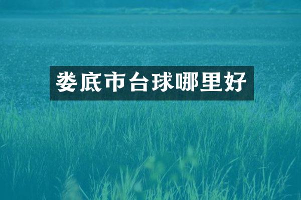 娄底市台球哪里好
