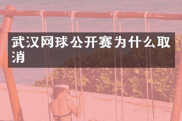 武汉网球公开赛为什么取消