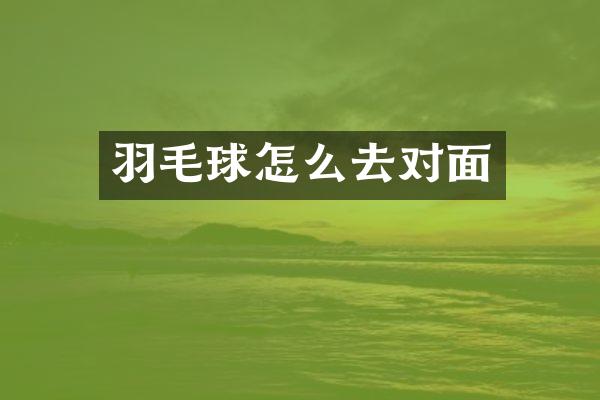 羽毛球怎么去对面