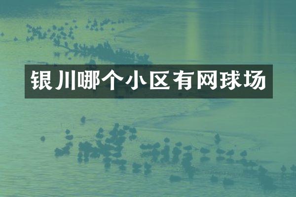 银川哪个小区有网球场