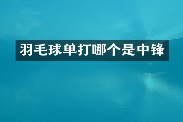 羽毛球单打哪个是中锋