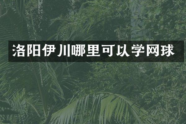 洛阳伊川哪里可以学网球