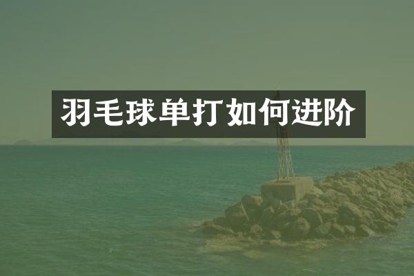 羽毛球单打如何进阶