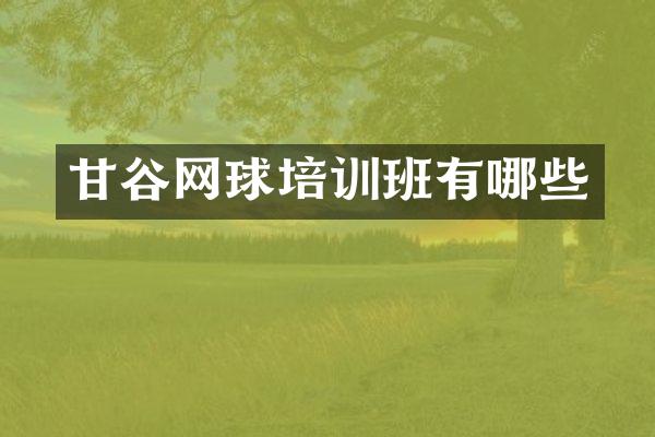 甘谷网球培训班有哪些