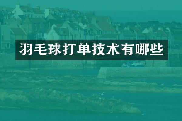 羽毛球打单技术有哪些