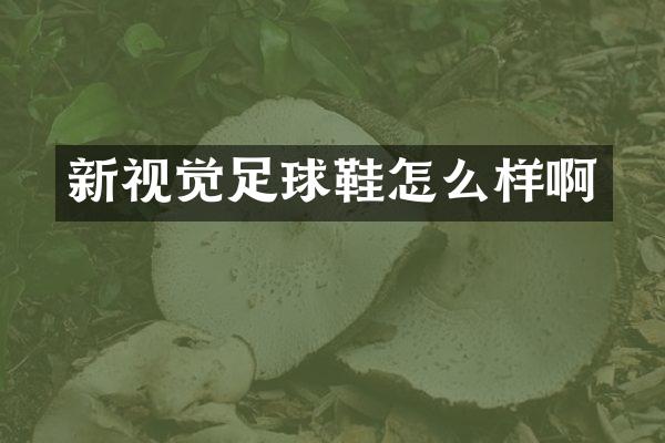 新视觉足球鞋怎么样啊