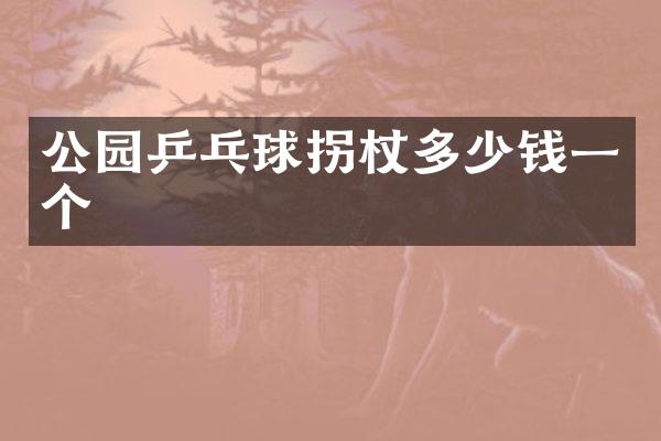 公园乒乓球拐杖多少钱一个