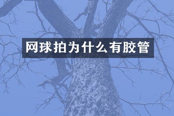 网球拍为什么有胶管