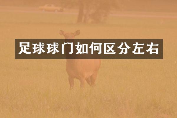 足球球门如何区分左右