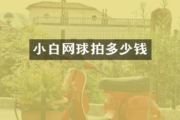 小白网球拍多少钱