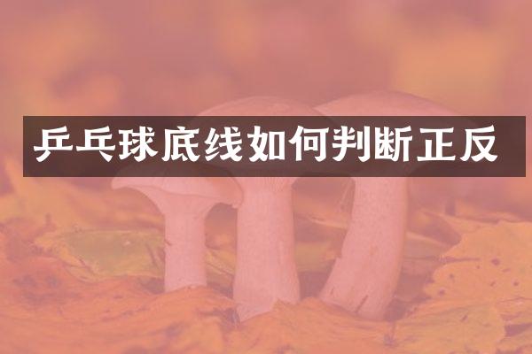 乒乓球底线如何判断正反