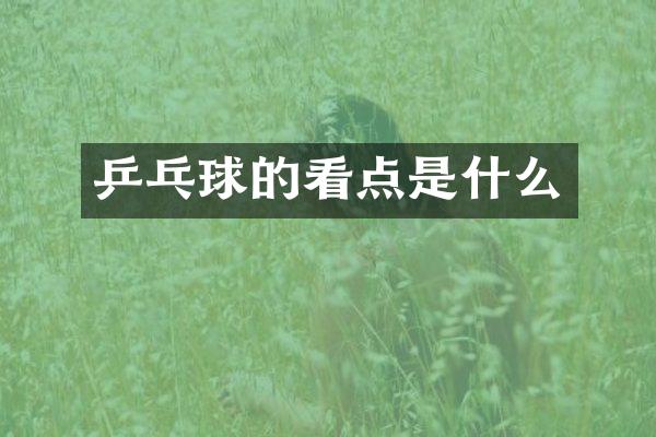 乒乓球的看点是什么