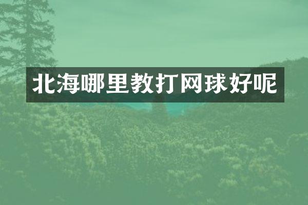北海哪里教打网球好呢