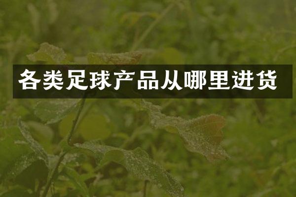 各类足球产品从哪里进货