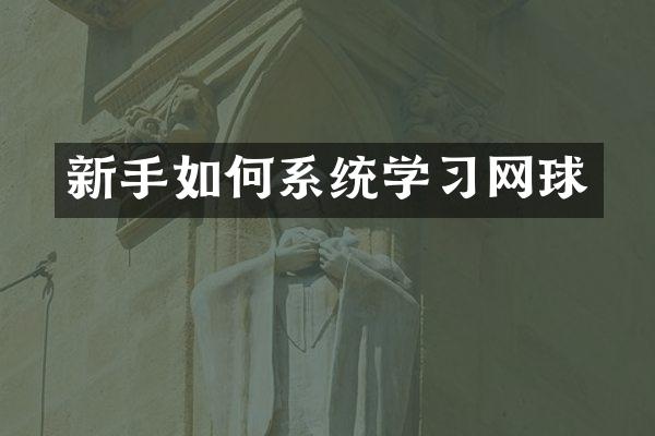 新手如何系统学习网球