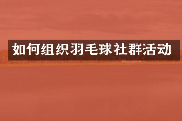 如何组织羽毛球社群活动